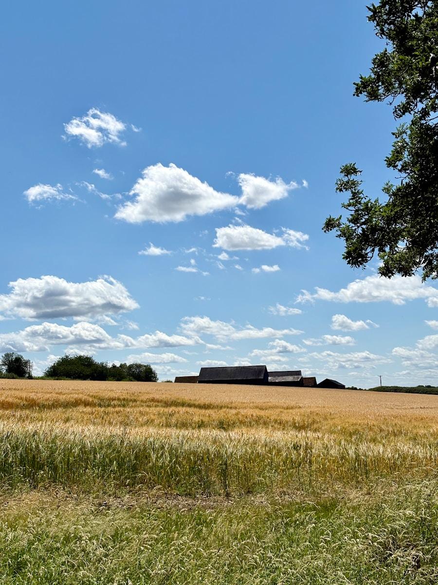 After Manchester’s Rare Dry Spell? Time to Inspect Your Property for Subsidence Warning Signs